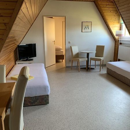 Gaestehaus An Der Rheinbruecke Altlussheim Dış mekan fotoğraf